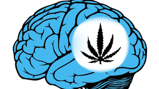 Illustration for article titled Brainiac Drugs, Helmet Lightning, and Other Stories We Didn't Post